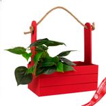 Маленькое фото 3: Корзина (дерево), 25х15х30см, красный