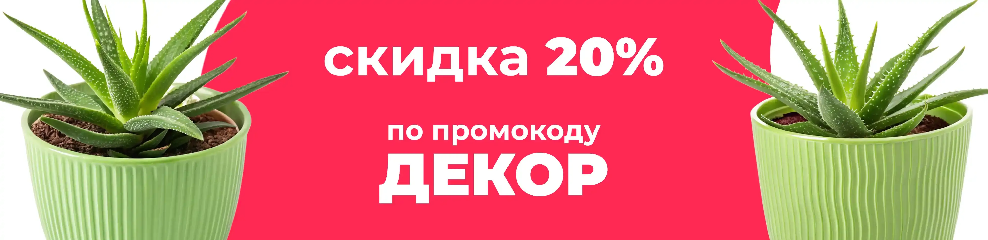 Баннер для рубрики: Горшки для алоэ