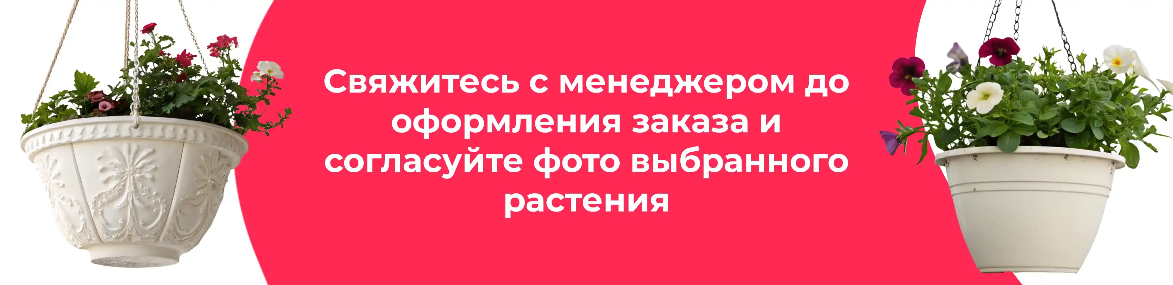 Баннер для рубрики: Кашпо подвесные для цветов