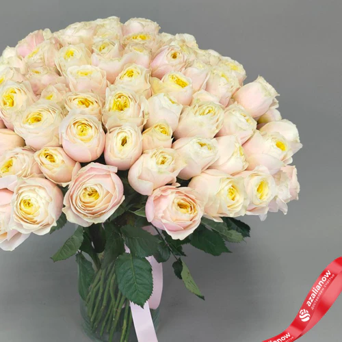 Фото 3: Букет из 101 нежно‑розовой пионовидной розы Эквадор, оформленный под ленту, 50 см