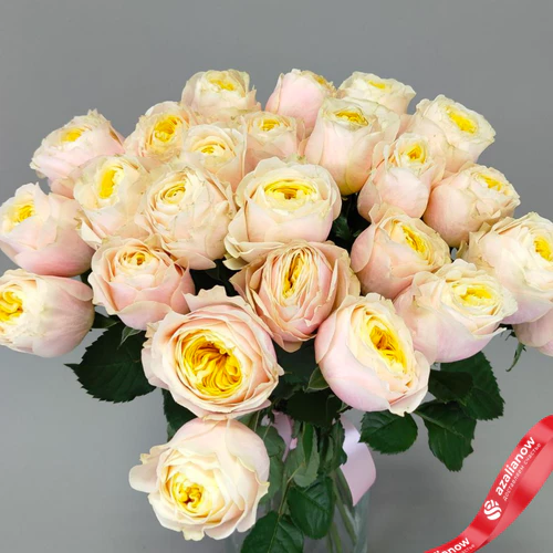 Фото 3: Букет из 25 нежно‑розовых пионовидных роз Эквадор, оформленный под ленту, 50 см