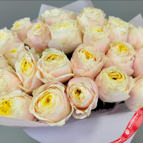 Фото 5: Букет из 25 пионовидных роз Эквадор в розовой упаковке, 50 см