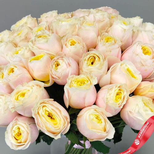 Фото 5: Букет из 51 нежно‑розовой пионовидной розы Эквадор, оформленный под ленту, 50 см