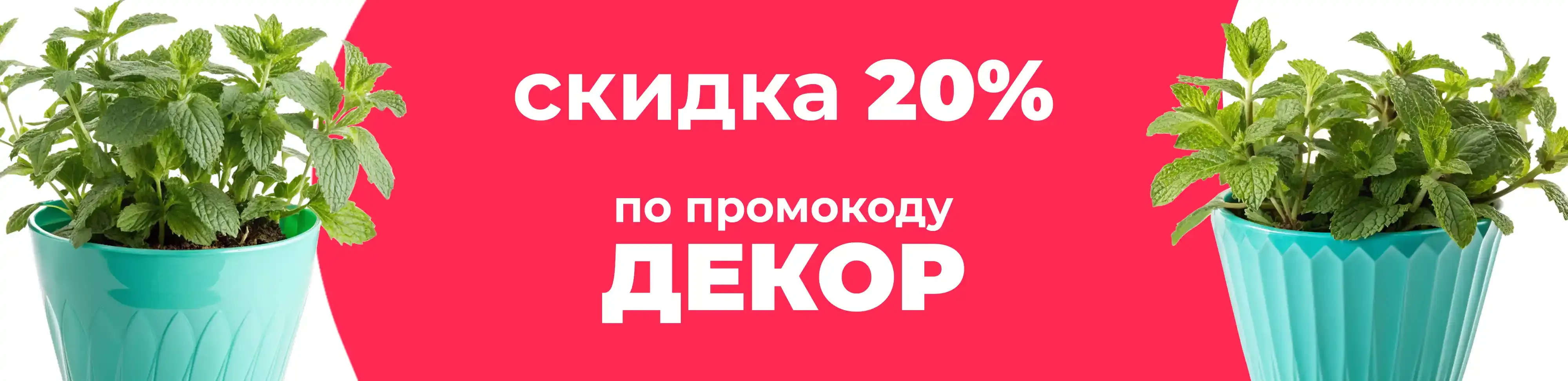 Баннер для рубрики: Горшки для мяты