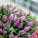 Маленькое фото 3: Весенний поцелуй: 50 лавандовых тюльпанов с зеленью. Сервис доставки цветов AzaliaNow