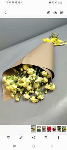 Хризантемы кустовые. Фото флориста - 4