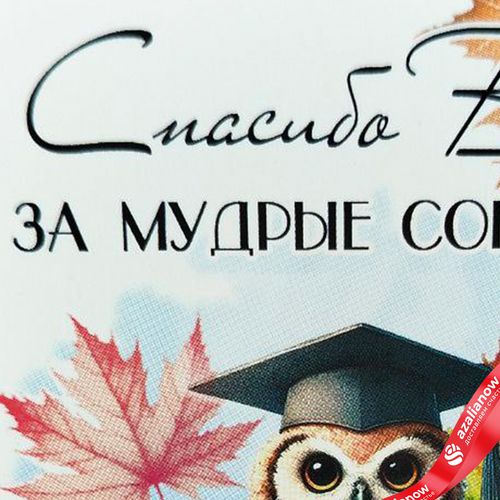Фото 4: Открытка «Спасибо Вам за мудрые советы», 7х10 см