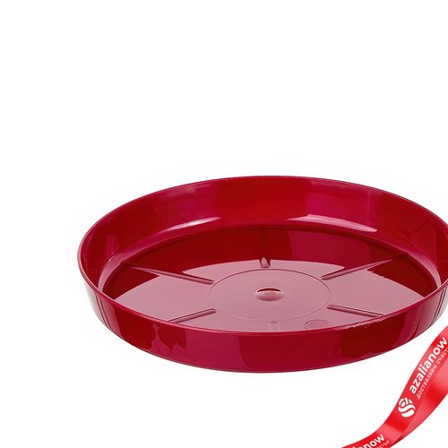 Фото 2: Поддон для цветочного горшка (пластик), D14,5см, красный