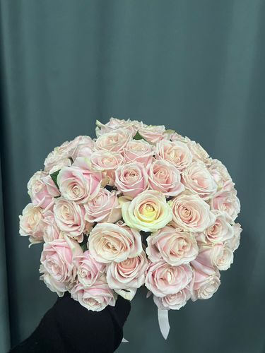 Показать все изображения