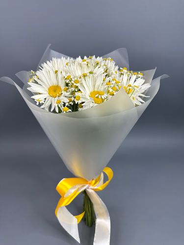 Фото флориста 1: Белые ромашки