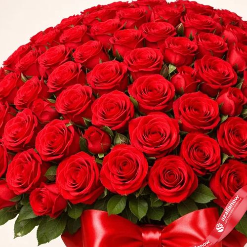 Фото 5: Букет из 201 красной розы с лентой