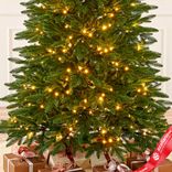 Маленькое фото 4: Ель искусственная с лампочками «Cамарская» (PE), 2,7м, зеленый