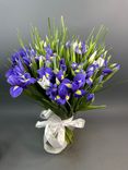 Фото флориста 1: Букет из 51 фиолетового и 50 белых ирисов