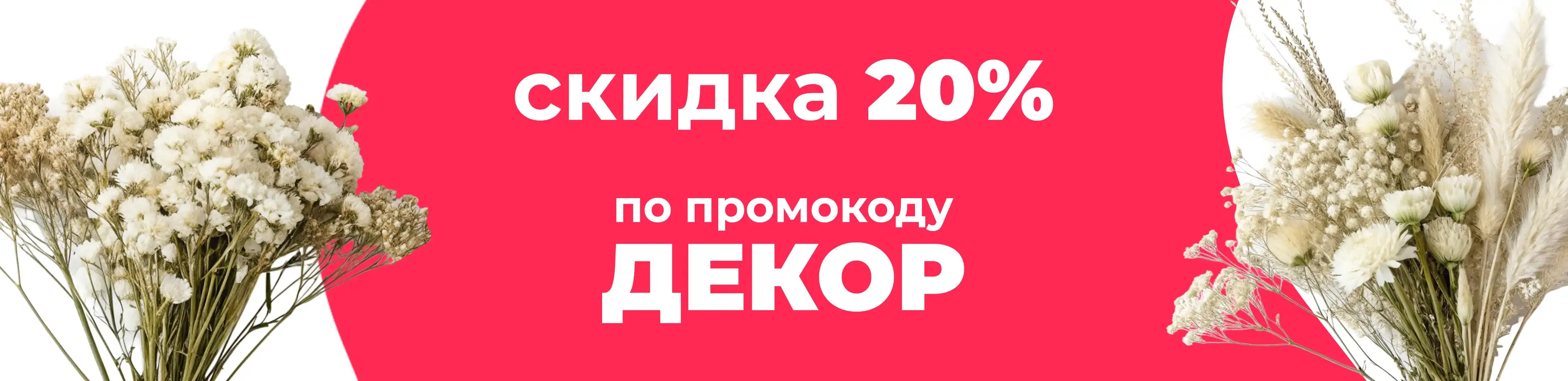 Баннер для рубрики: Белые сухоцветы