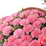 Маленькое фото 4: Букет из 45 розовых гвоздик в корзине с эвкалиптом. Сервис доставки цветов AzaliaNow
