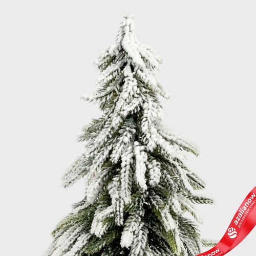 Фото 4: Ель искусственная заснеженная в кашпо, Н35х20х20см, зеленый/белый