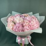 Фото флориста 1: Букет из 11 розовых гортензий в белой пленке с лентой