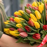 Маленькое фото 4: Букет из 45 тюльпанов микс с желтой лентой