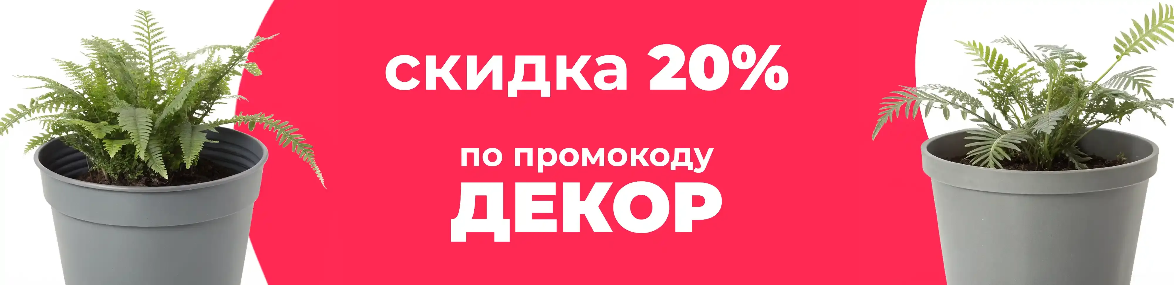Баннер для рубрики: Горшки для папоротника