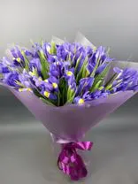 Фото флориста 5: Букет из 35 синих ирисов в фиолетовой пленке