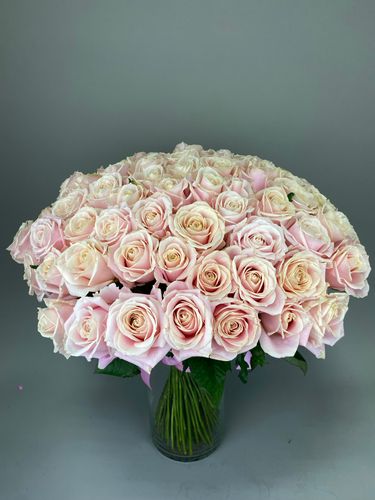 Показать все изображения