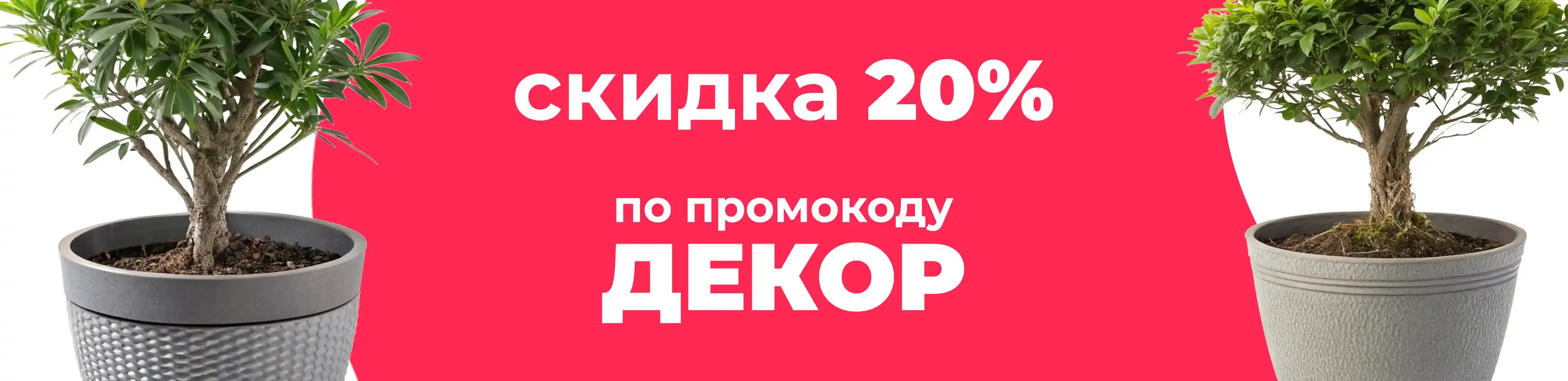 Баннер для рубрики: Горшки для деревьев