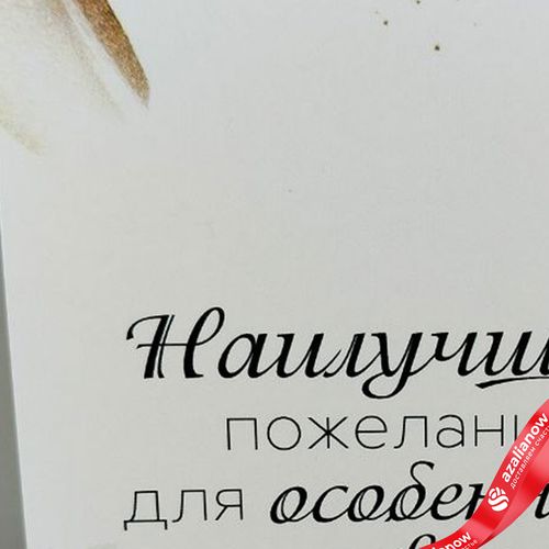 Фото 4: Открытка «Наилучшие пожелания для особенного человека», 10х14 см