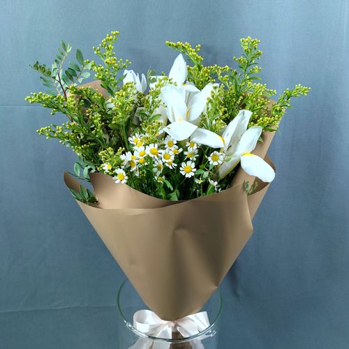 Фото флориста 1: Танацетумы