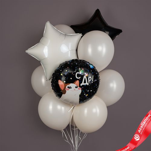 Фото 1: Композиция из 9 шаров с гелием «С ДР (котик)»