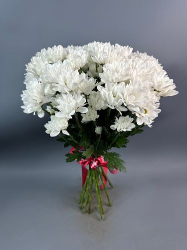 Фото флориста 6: Хризантемы кустовые