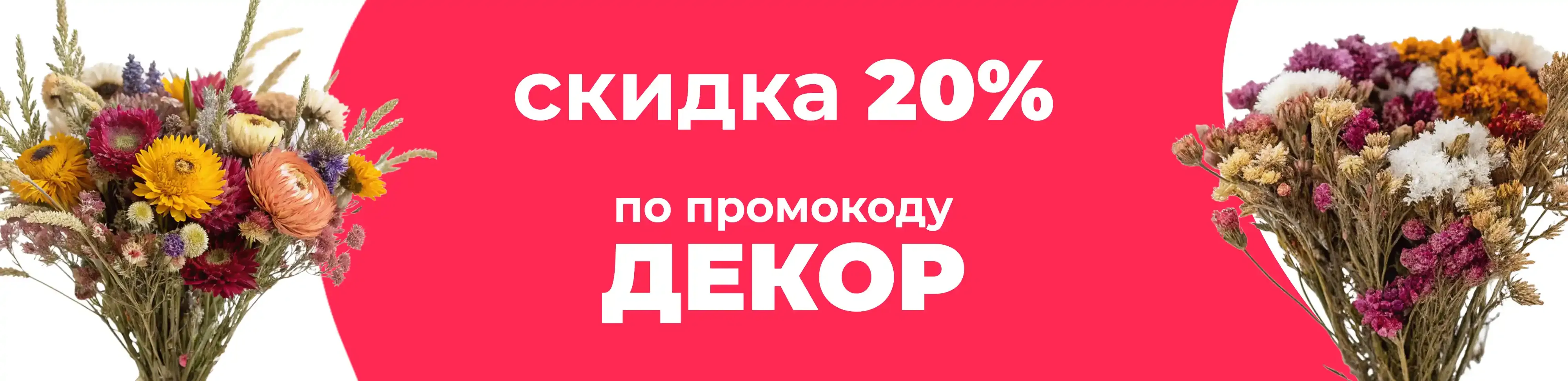 Баннер для рубрики: Высокие сухоцветы