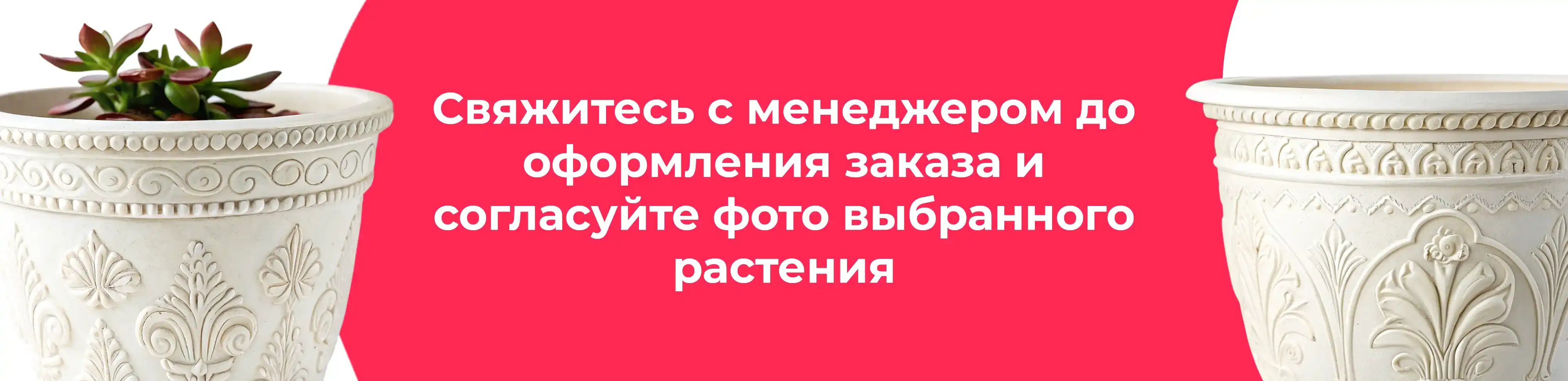 Баннер для рубрики: Кашпо из керамики