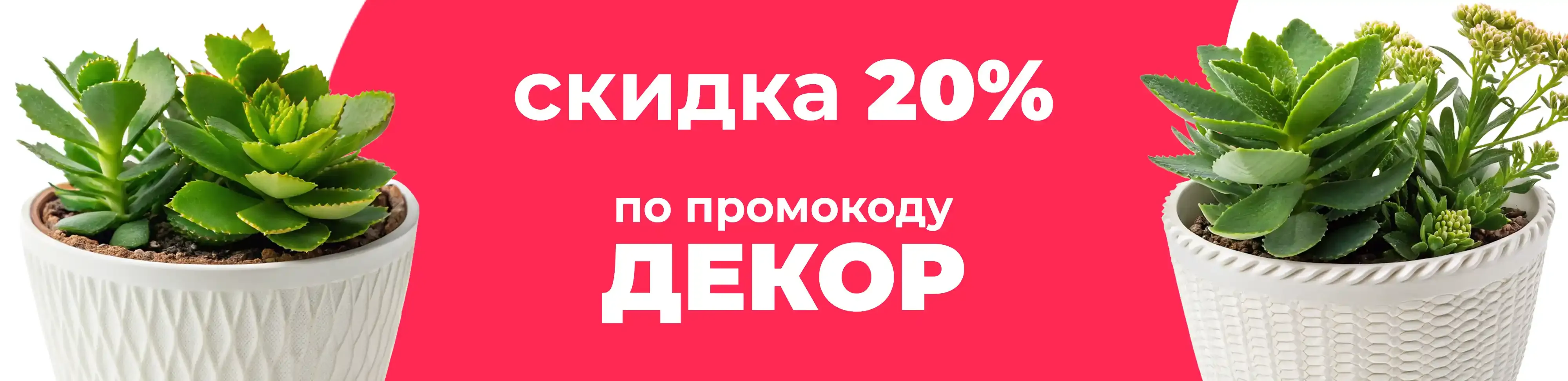 Баннер для рубрики: Горшки для каланхоэ