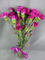 Фото флориста 1: Букет из 10 гвоздик фиолетовых, Диантус, Голландия