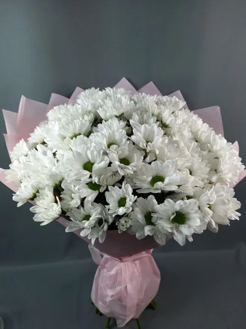 Показать все изображения