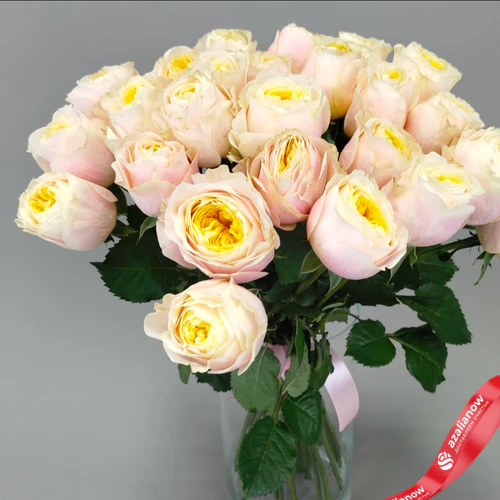 Фото 4: Букет из 25 нежно‑розовых пионовидных роз Эквадор, оформленный под ленту, 50 см