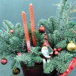 Маленькое фото 3: Новогодняя композиция «Еловые ветки со Дедом Морозом» в кашпо, D 25 см x H 40 см