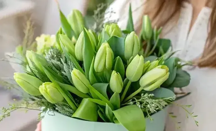 Цветы зеленого цвета