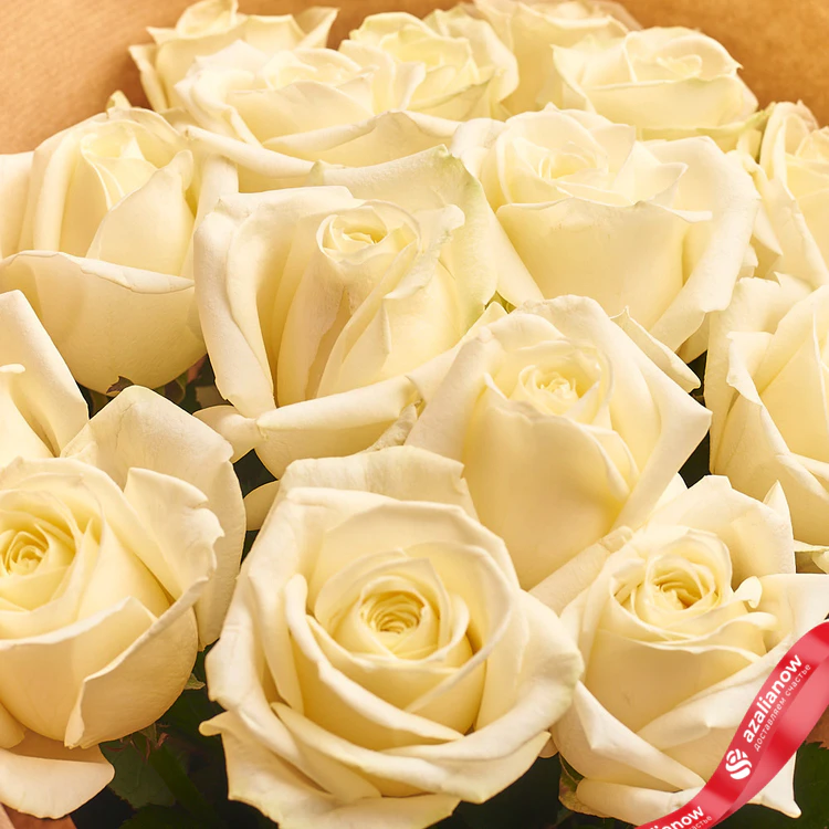 Фото 3: Акция! Букет из 15 белых роз в крафте. Сервис доставки цветов AzaliaNow