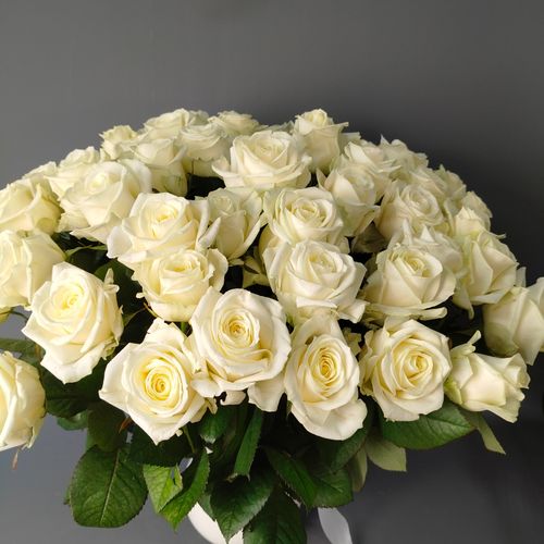 Показать все изображения