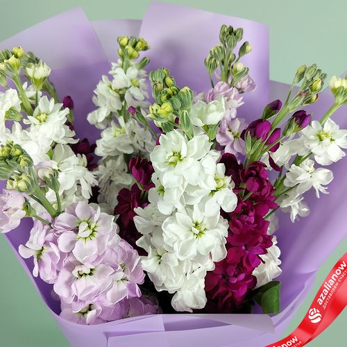 Фото 4: Букет из 9 маттиол микс в сиреневой пленке