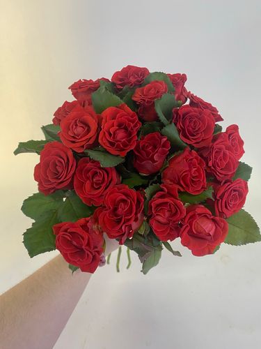 Показать все изображения