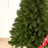 Маленькое фото 4: Ель искусственная «Крымская» (PE), 1,8м, зеленый