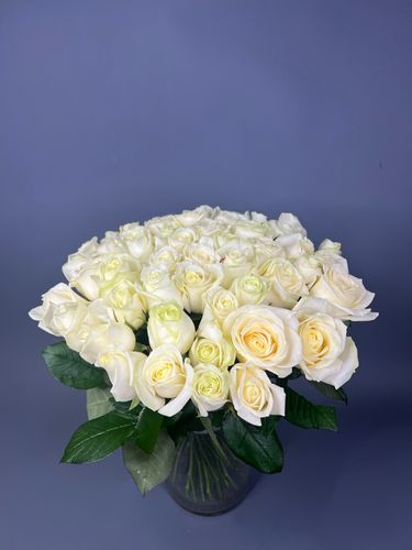 Показать все изображения