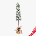 Маленькое фото 1: Ель искусственная заснеженная в кашпо, Н78х18х18см, зеленый/белый