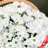 Маленькое фото 3: Букет из 39 хризантем в корзине