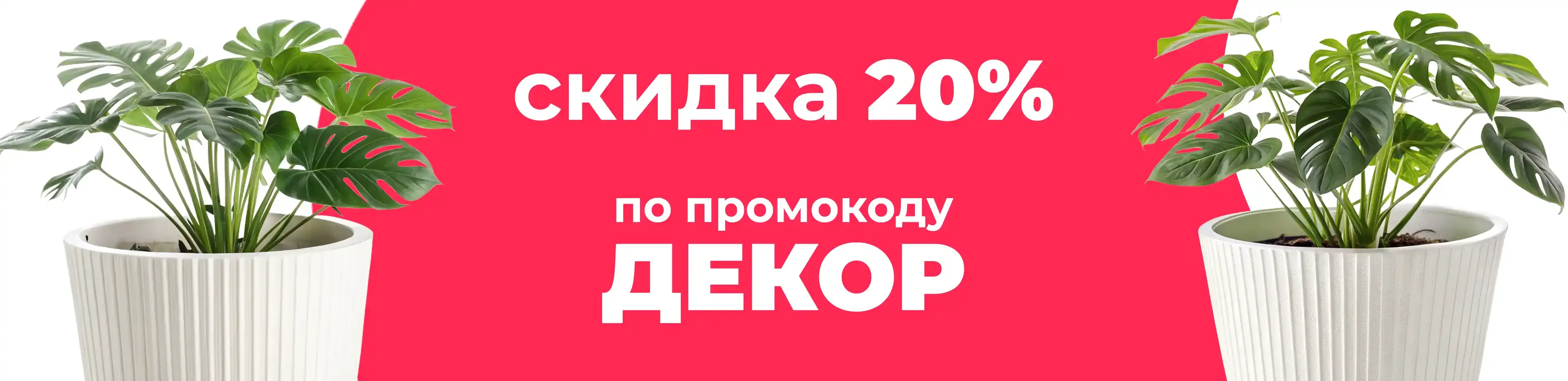 Баннер для рубрики: Горшки для монстер