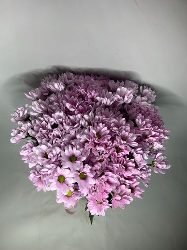 Показать все изображения