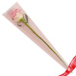 Маленькое фото 2: Пакет конусный, 12х45см (полипропилен), розовый