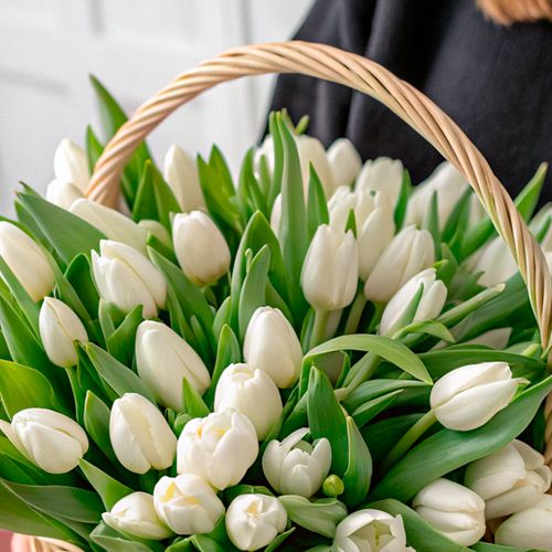 Фото 4: Букет из 47 белых тюльпанов в корзине